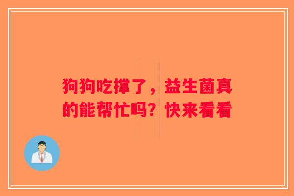 狗狗吃撑了，益生菌真的能帮忙吗？快来看看