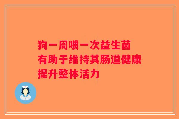 狗一周喂一次益生菌 有助于维持其肠道健康提升整体活力