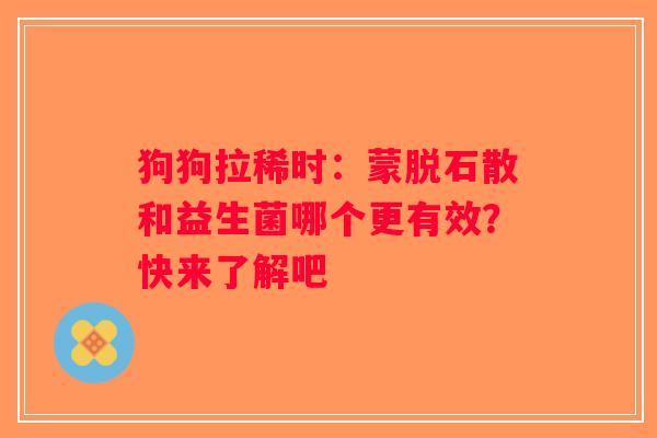 狗狗拉稀时：蒙脱石散和益生菌哪个更有效？快来了解吧
