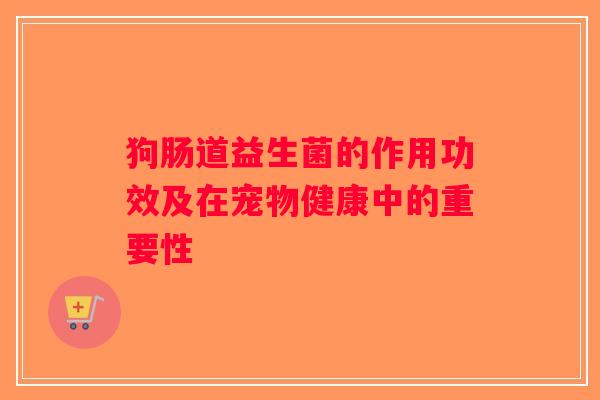 狗肠道益生菌的作用功效及在宠物健康中的重要性