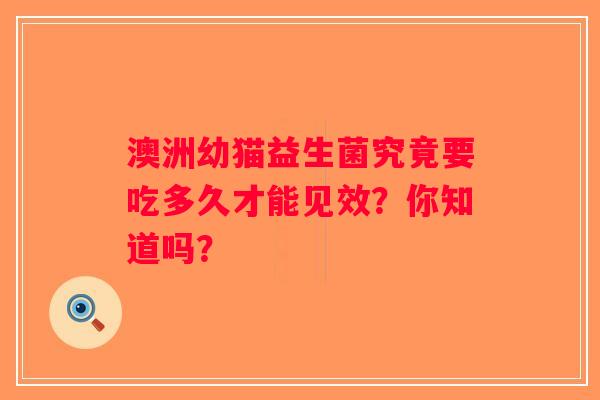 澳洲幼猫益生菌究竟要吃多久才能见效？你知道吗？
