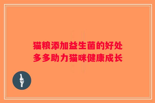 猫粮添加益生菌的好处多多助力猫咪健康成长