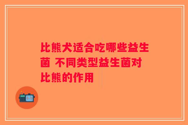 比熊犬适合吃哪些益生菌 不同类型益生菌对比熊的作用