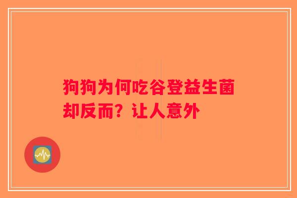 狗狗为何吃谷登益生菌却反而？让人意外