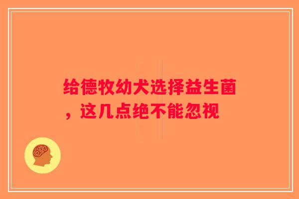 给德牧幼犬选择益生菌，这几点绝不能忽视