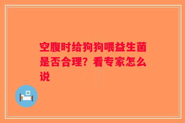 空腹时给狗狗喂益生菌是否合理？看专家怎么说