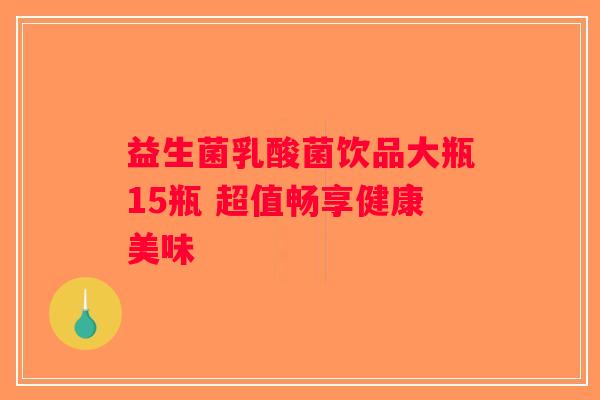 益生菌乳酸菌饮品大瓶15瓶 超值畅享健康美味