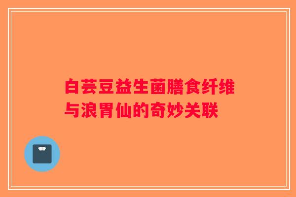 白芸豆益生菌膳食纤维与浪胃仙的奇妙关联