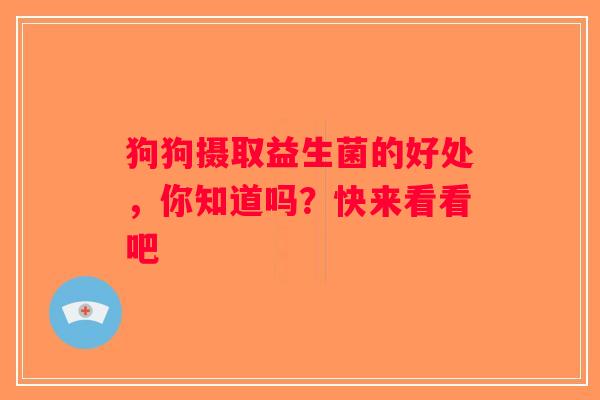 狗狗摄取益生菌的好处，你知道吗？快来看看吧