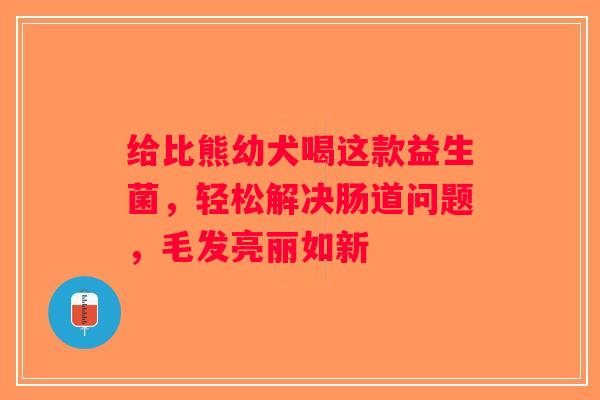 给比熊幼犬喝这款益生菌，轻松解决肠道问题，毛发亮丽如新