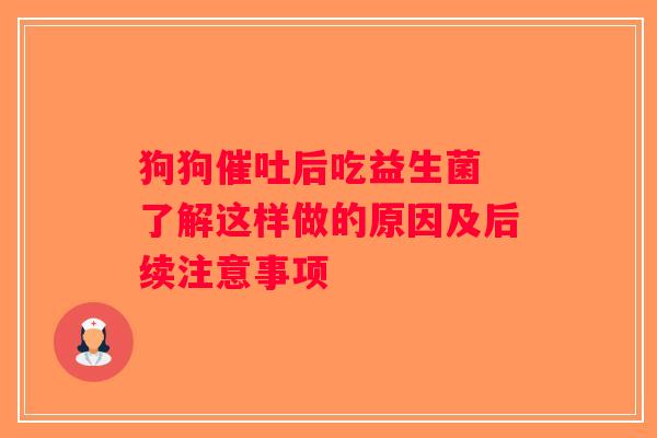 狗狗催吐后吃益生菌 了解这样做的原因及后续注意事项