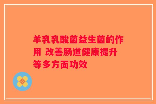 羊乳乳酸菌益生菌的作用 改善肠道健康提升等多方面功效