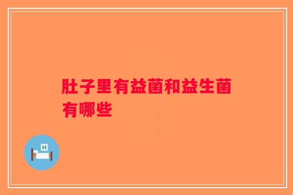 肚子里有益菌和益生菌有哪些