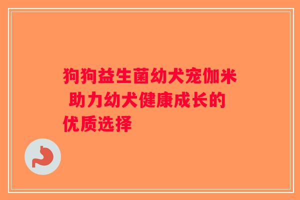 狗狗益生菌幼犬宠伽米 助力幼犬健康成长的优质选择