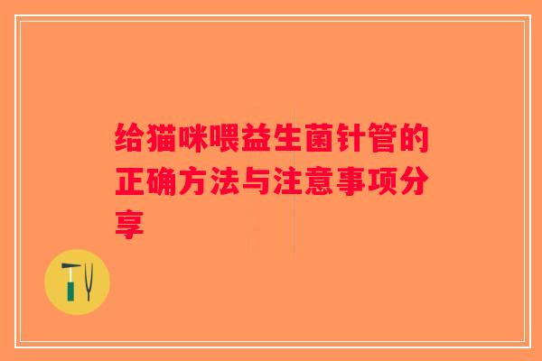 给猫咪喂益生菌针管的正确方法与注意事项分享