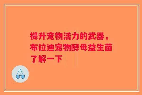 提升宠物活力的武器，布拉迪宠物酵母益生菌了解一下