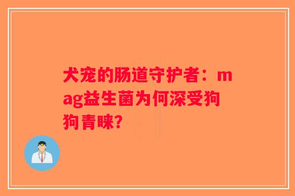 犬宠的肠道守护者：mag益生菌为何深受狗狗青睐？