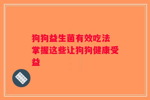 狗狗益生菌有效吃法 掌握这些让狗狗健康受益