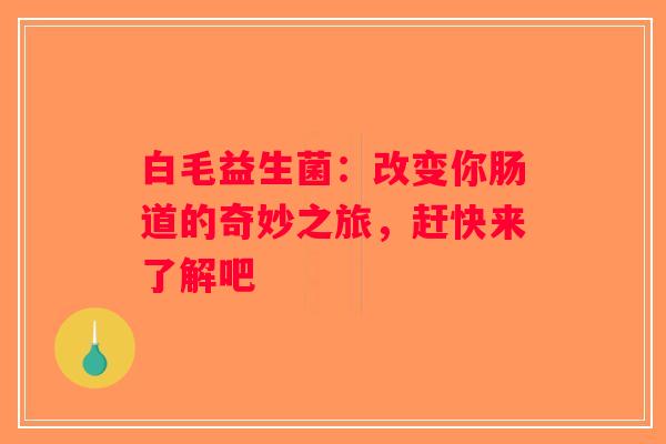 白毛益生菌：改变你肠道的奇妙之旅，赶快来了解吧