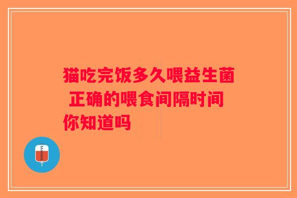 猫吃完饭多久喂益生菌 正确的喂食间隔时间你知道吗