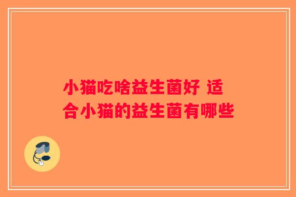 小猫吃啥益生菌好 适合小猫的益生菌有哪些