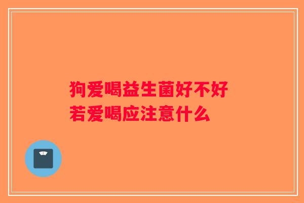 狗爱喝益生菌好不好 若爱喝应注意什么