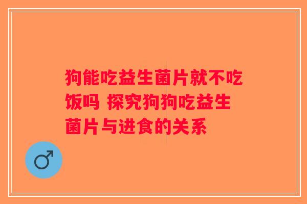 狗能吃益生菌片就不吃饭吗 探究狗狗吃益生菌片与进食的关系