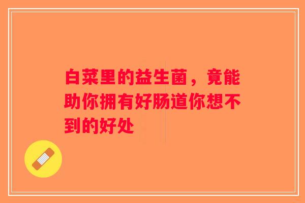 白菜里的益生菌，竟能助你拥有好肠道你想不到的好处