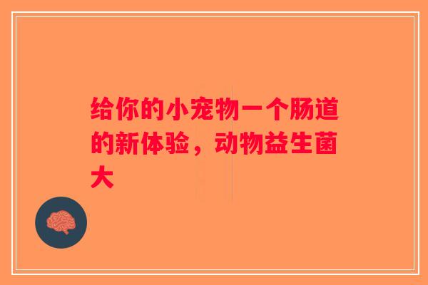 给你的小宠物一个肠道的新体验，动物益生菌大