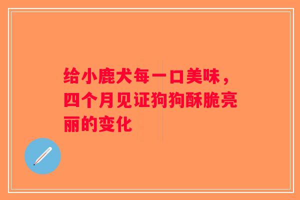 给小鹿犬每一口美味，四个月见证狗狗酥脆亮丽的变化