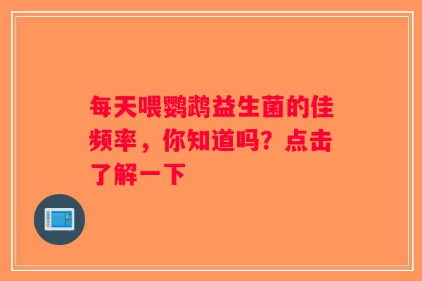 每天喂鹦鹉益生菌的佳频率，你知道吗？点击了解一下