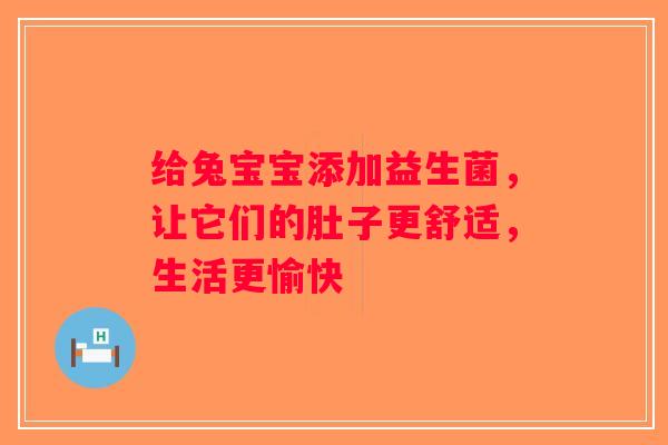 给兔宝宝添加益生菌，让它们的肚子更舒适，生活更愉快
