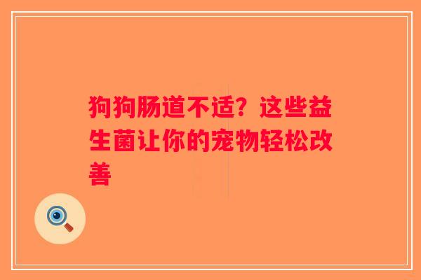 狗狗肠道不适？这些益生菌让你的宠物轻松改善