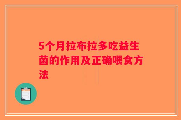 5个月拉布拉多吃益生菌的作用及正确喂食方法