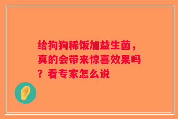 给狗狗稀饭加益生菌，真的会带来惊喜效果吗？看专家怎么说