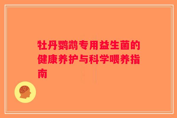 牡丹鹦鹉专用益生菌的健康养护与科学喂养指南