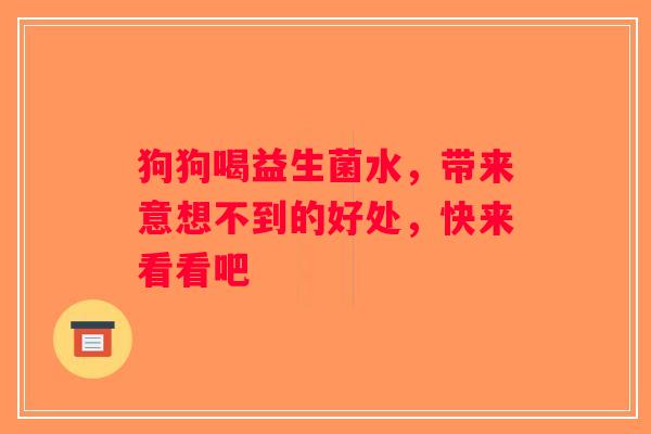 狗狗喝益生菌水，带来意想不到的好处，快来看看吧