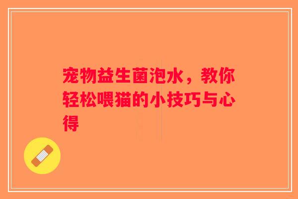 宠物益生菌泡水，教你轻松喂猫的小技巧与心得