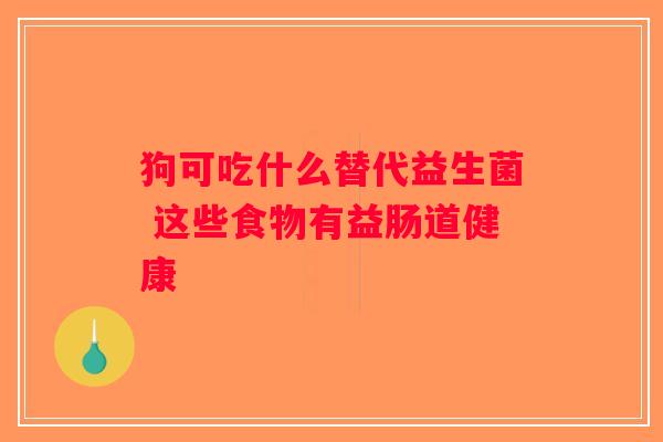 狗可吃什么替代益生菌 这些食物有益肠道健康